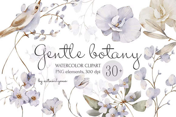 Watercolor Collection Gentle Botany Clipart UXEU6JH