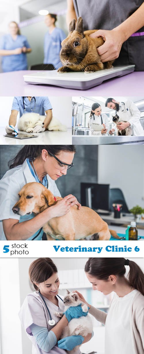 Photos - Veterinary Clinic 6