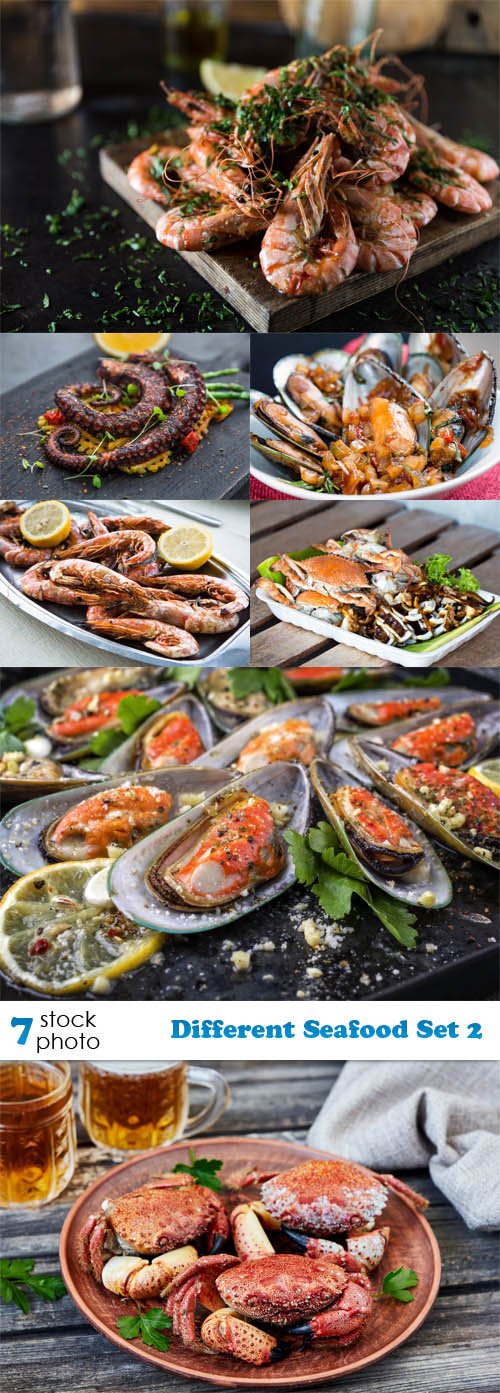 Photos - Different Seafood Set 2