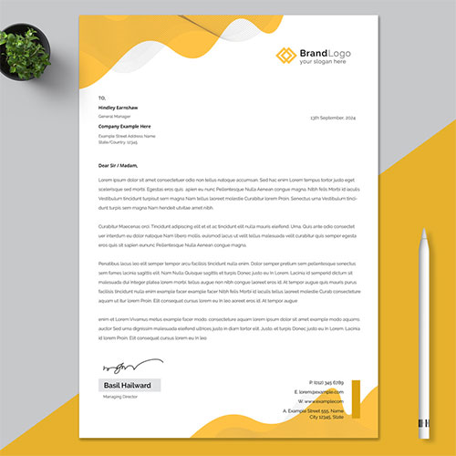 Letterhead Layout with Yellow Accents 519425919