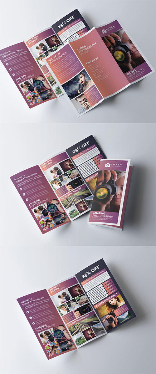 Tri-Fold Brochure Layout with Mauve Gradient Accents 278613798