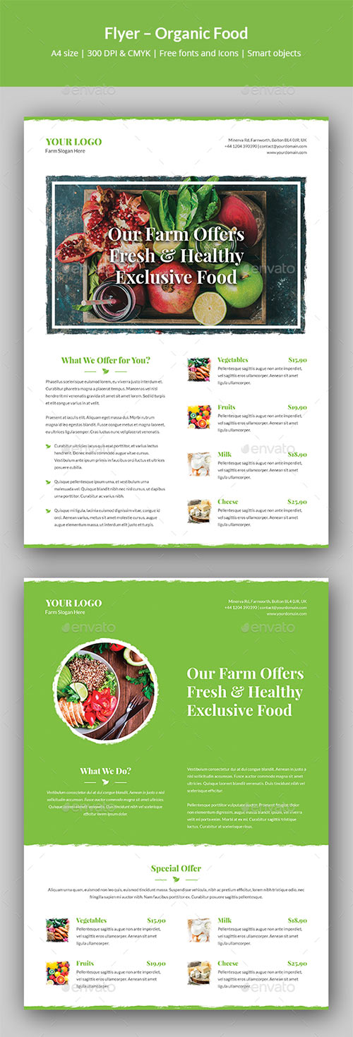 Flyer - Organic Food 20450802