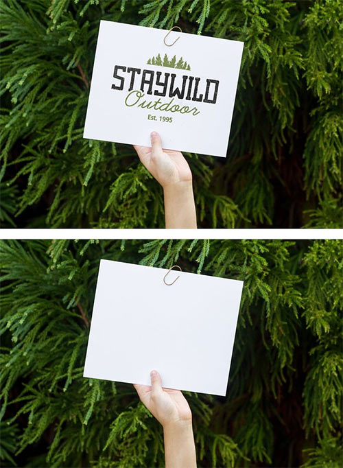 Hand Holding Card Mockup