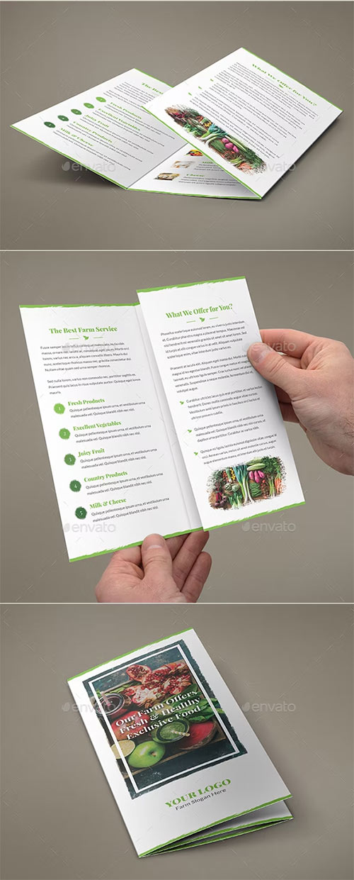 Brochure - Organic Food Tri-Fold 19929196