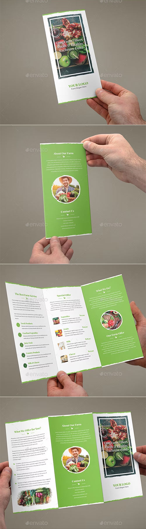 Brochure - Organic Food Tri-Fold 19929196