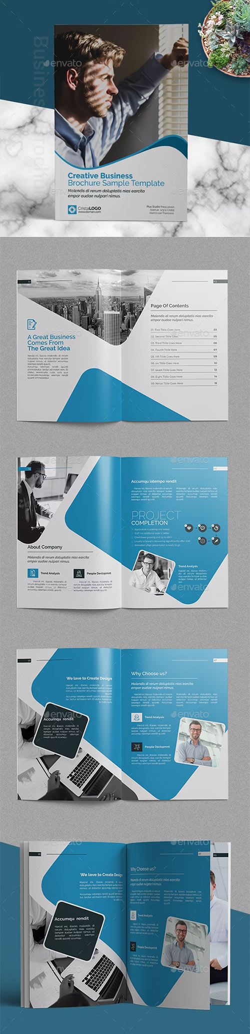 Brochure Template 20105916