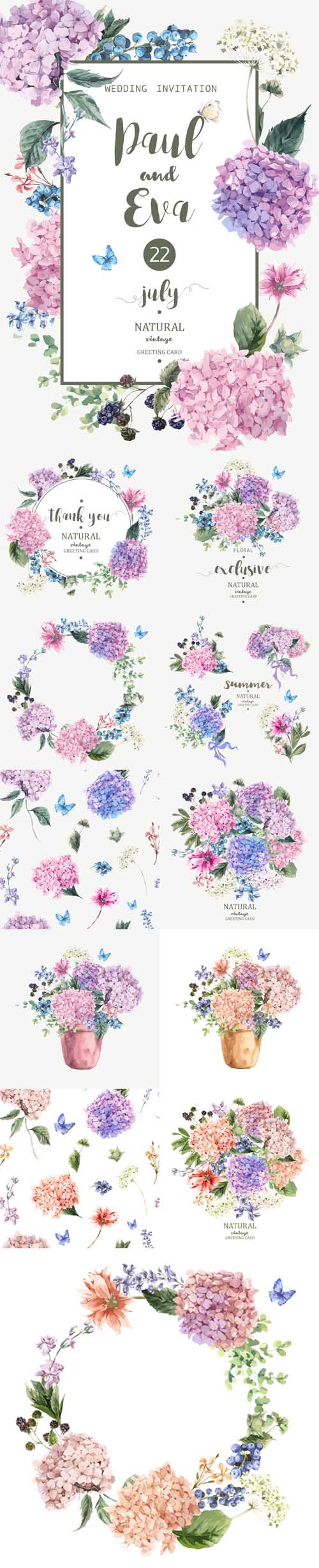 Vectors - Blooming Hydrangea and Garden Flowers