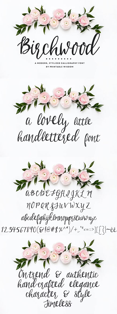 Font - Birchwood Calligraphy 550314