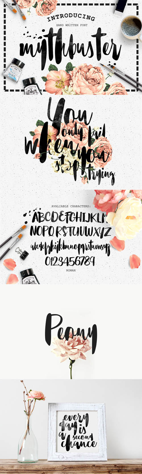 Mythbuster Script Font 506837