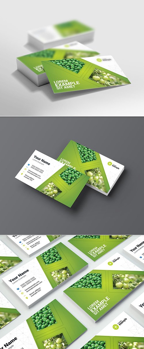 Green Gradient Business Card Layout