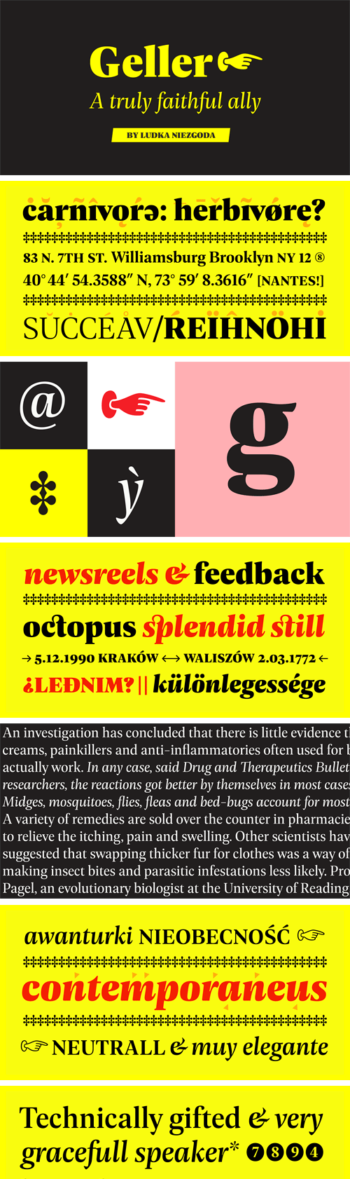 Geller Headline Font Family