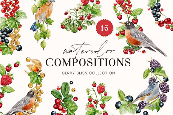 Berry Bliss Watercolor Compositions 5TGSS9W