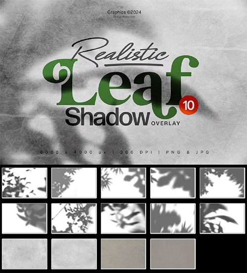 Realistic Leaf Shadow Overlay 2KQGKHH
