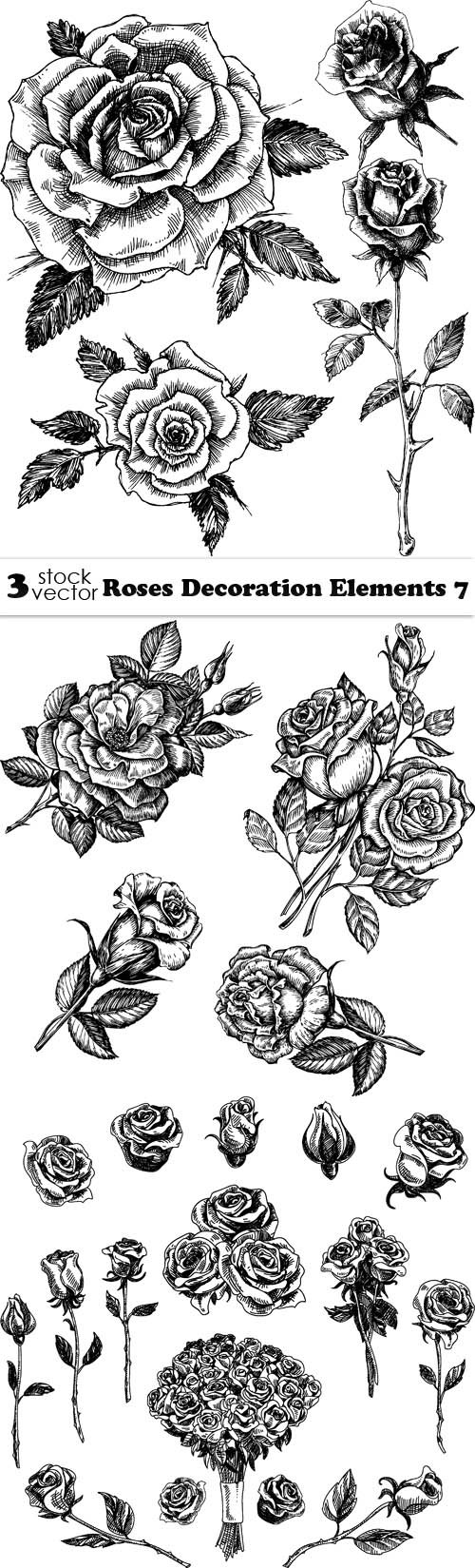 Vectors - Roses Decoration Elements 7