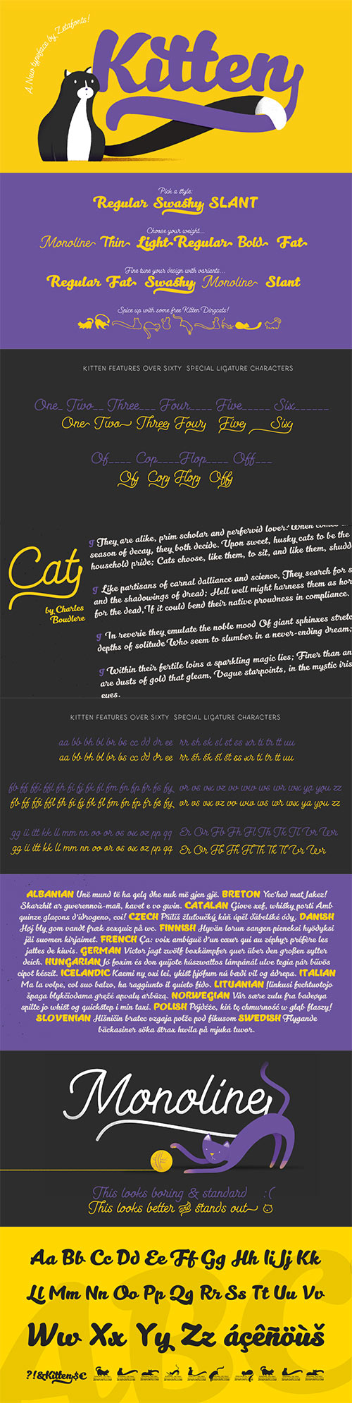 Kitten Font Family