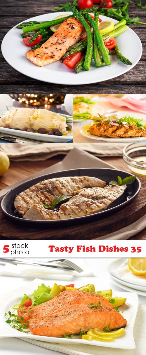 Photos - Tasty Fish Dishes 35