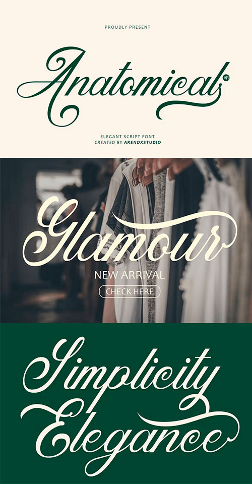 Anatomical - Elegant Script Font 92451270