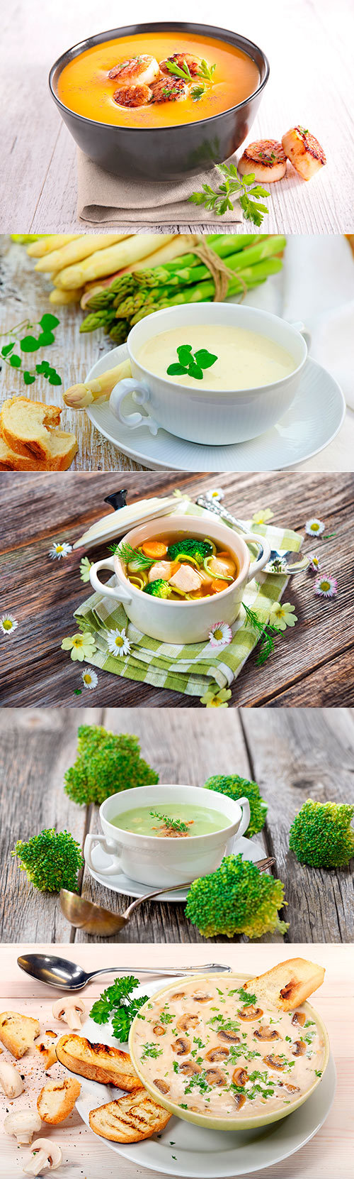 Photos - Different Soups 4