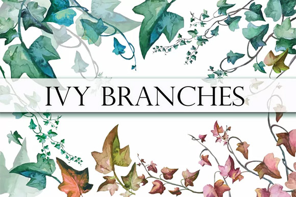 Ivy Branches Watercolor Set