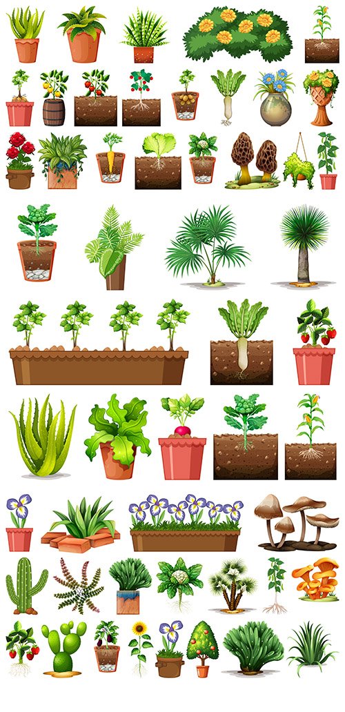 Set of Different Plants Pots Isolated