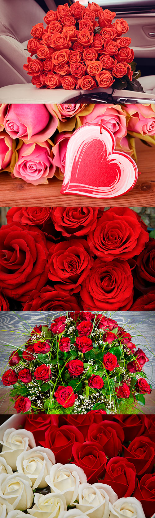 Photos - Bouquets of Roses 3