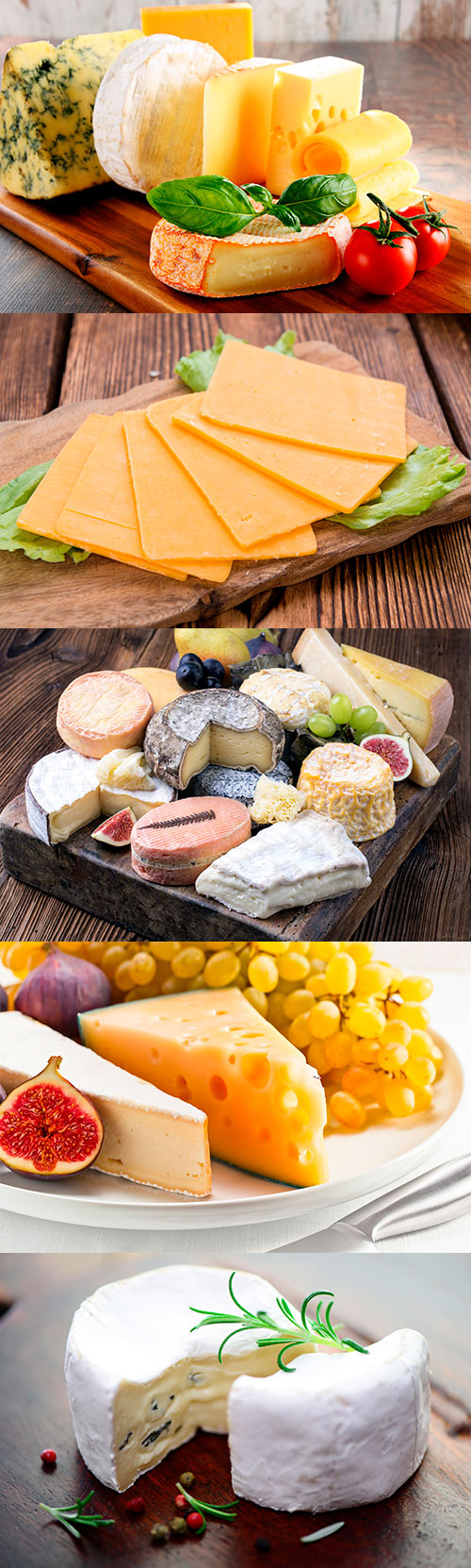 Photos - Different Cheese Set