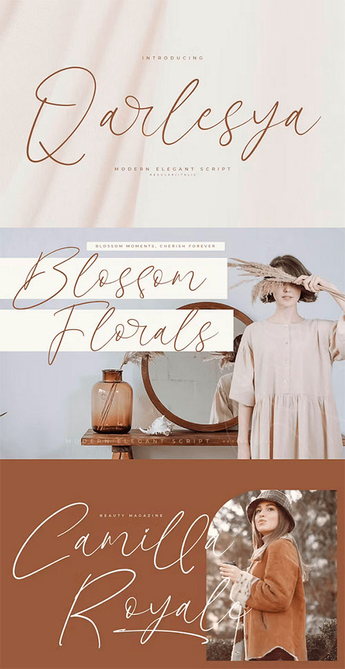 Qarlesya Modern Elegant Script Font CHRDDFL