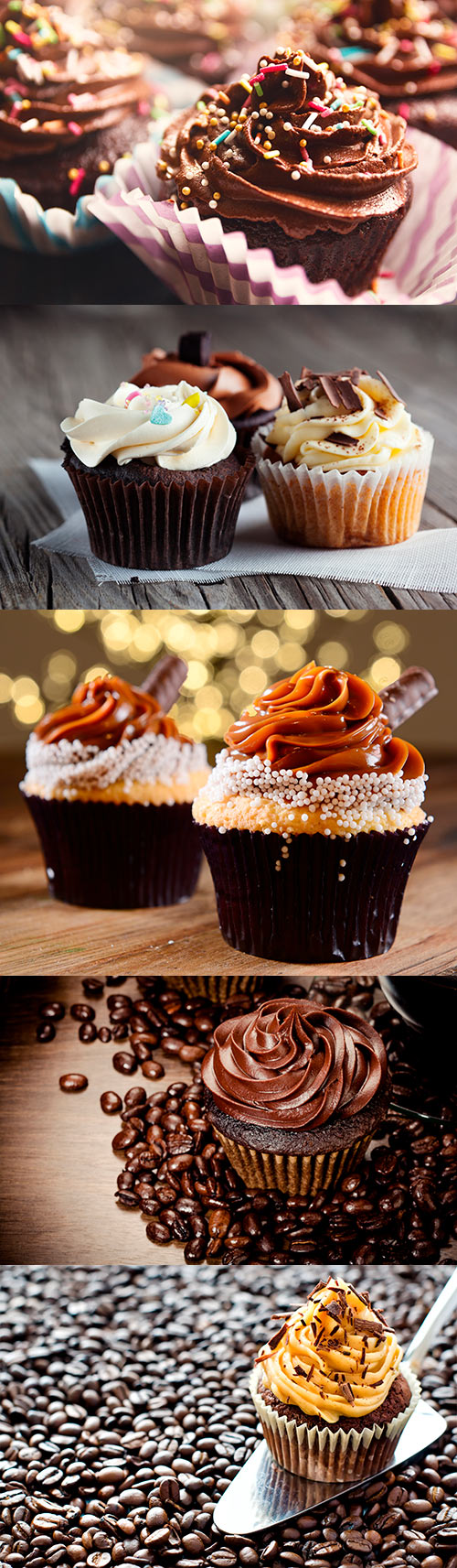 Photos - Delicious Chocolate Cupcakes