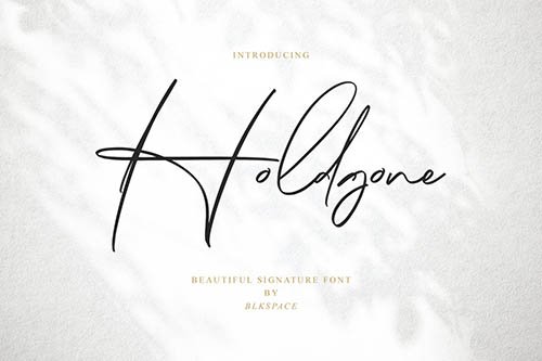 Holdgone Font