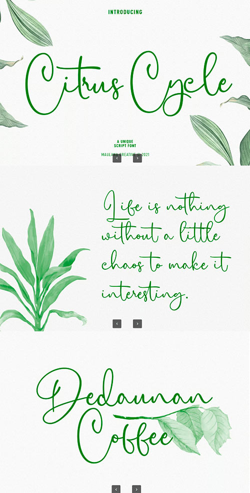 Citrus Cycle Script Font JJC97B3