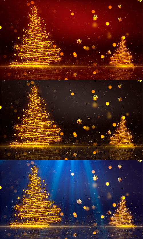 Christmas Trees Backgrounds V1 JC8XBX2