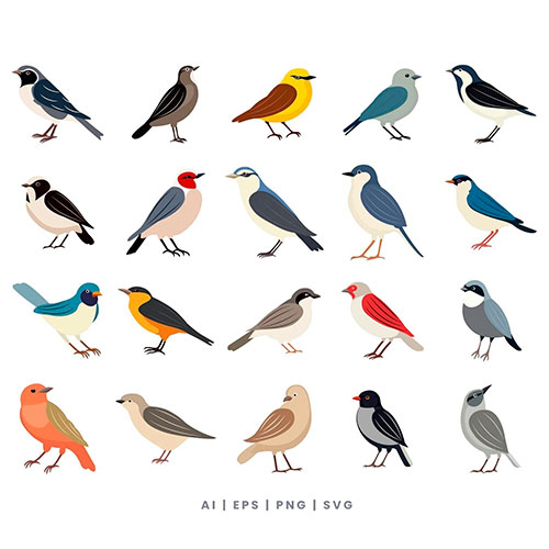 Bird Vector Element Set BRXQVCD