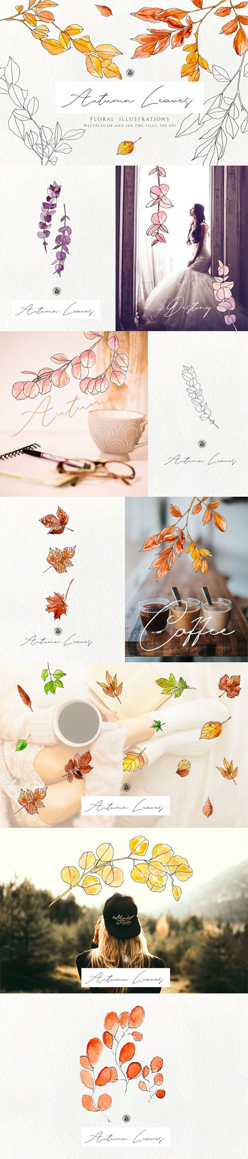 Autumn Leaves - 30 Watercolor Floral Illustrations