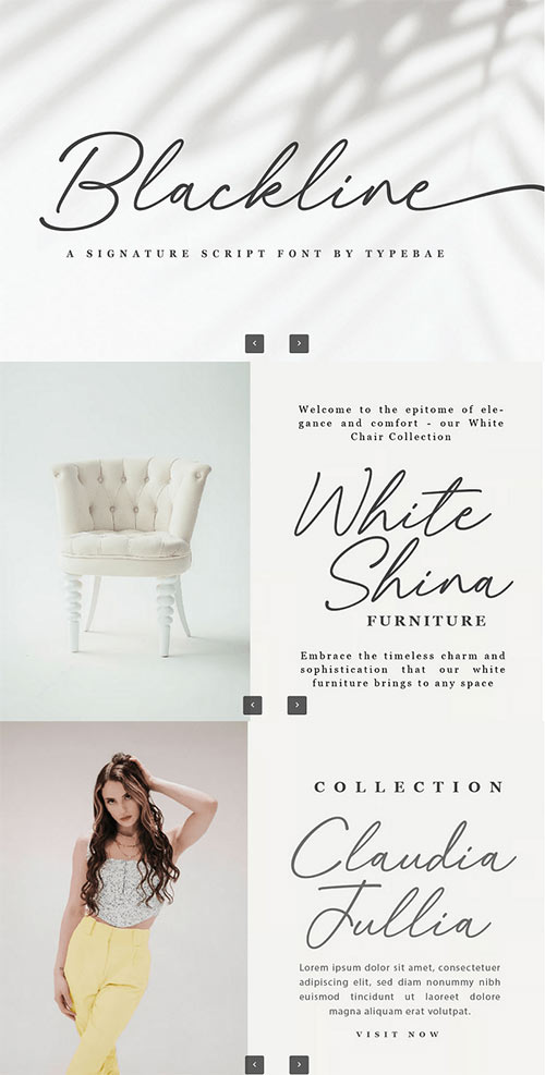 Backline - Chic Signature Script Font 6NFRTLM