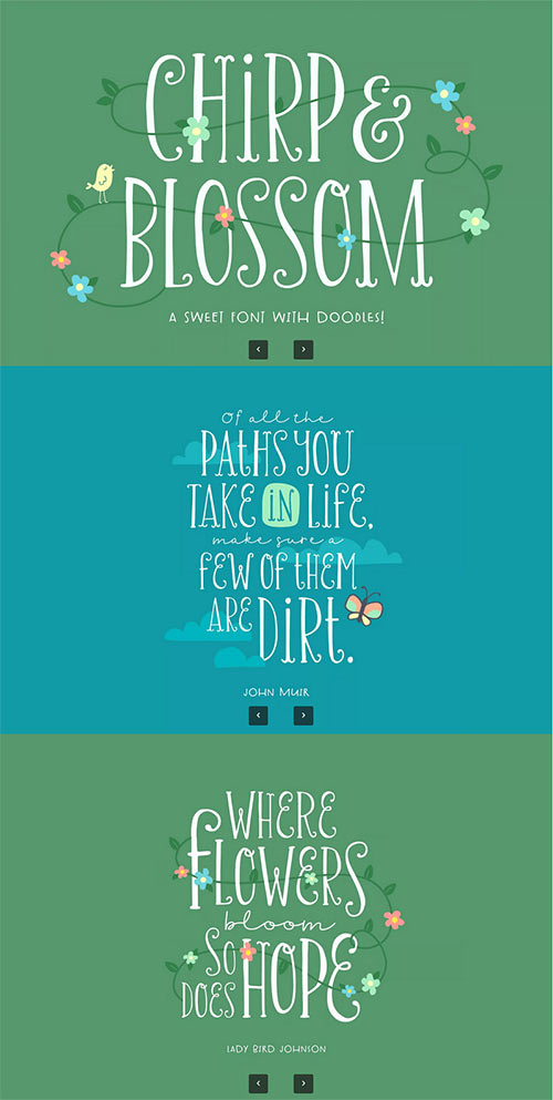 Chirp & Blossom Font 3HBCYYG