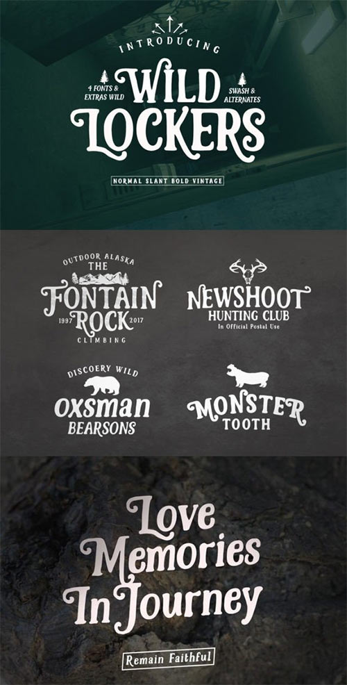 Wild Lockers Font 101162039