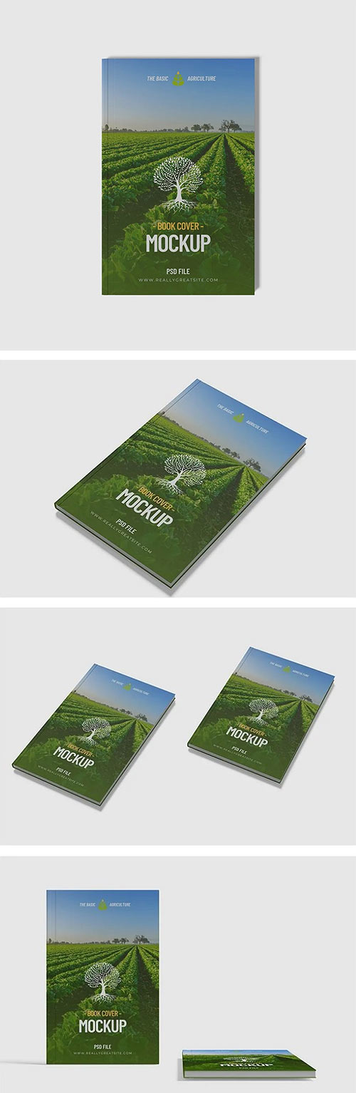 Book Cover Mockup UKSN2PQ