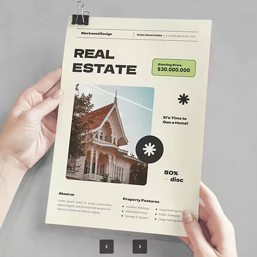 Real Estate Flyer PYXSF2W