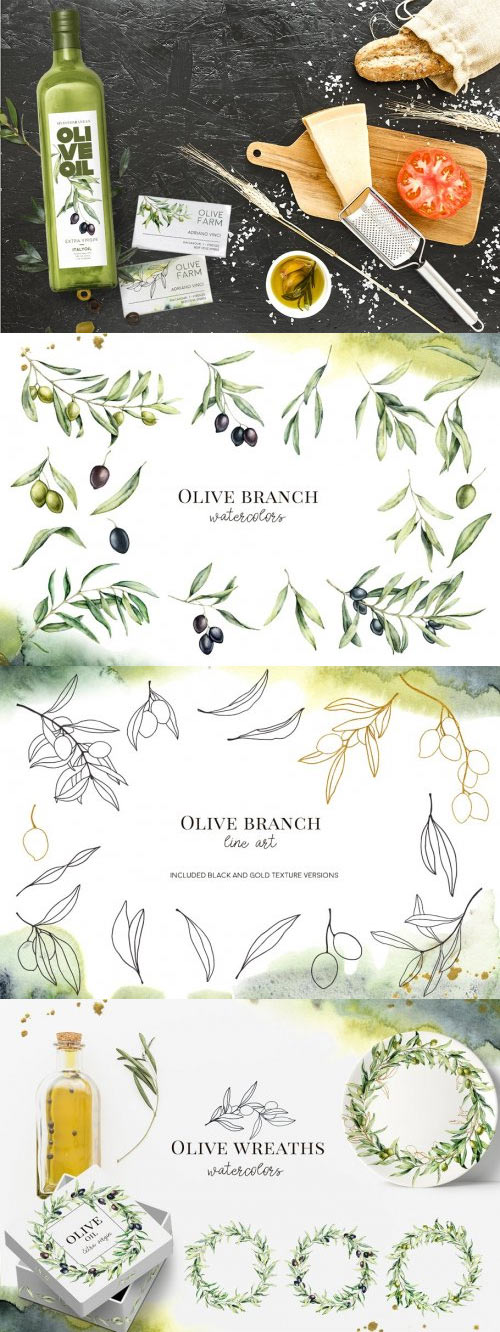Olives. Watercolor collection