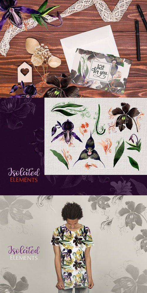 Orchid Black Watercolor Png