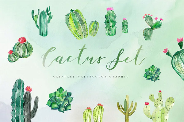 15 Watercolor Cactus Set Illustration