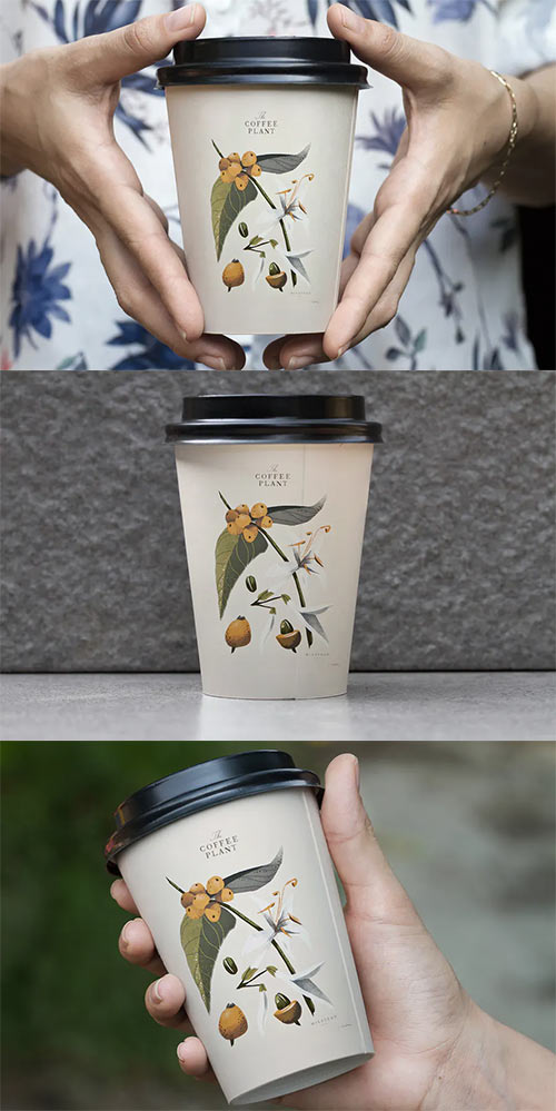 Coffee Cup Mock Up