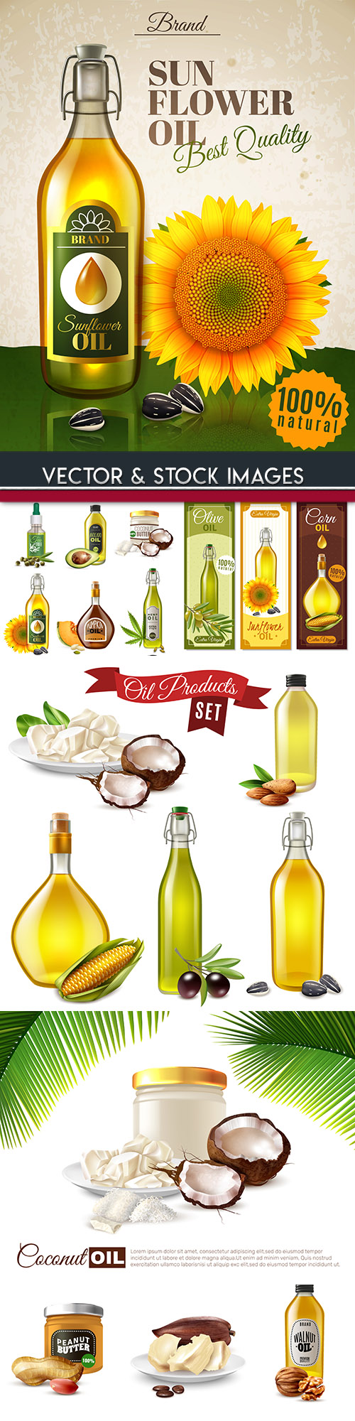 Bottle olive almond and coconut oil for proper nutrition