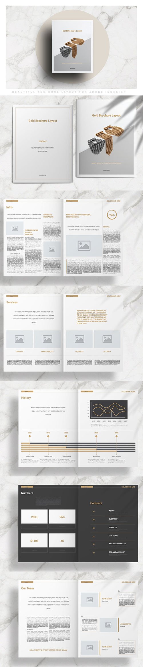 Gold Brochure Layout INDD