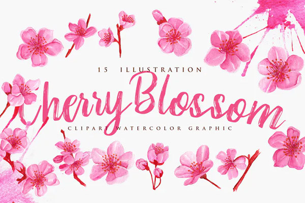 15 Watercolor Cherry Blossom Flower Illustration