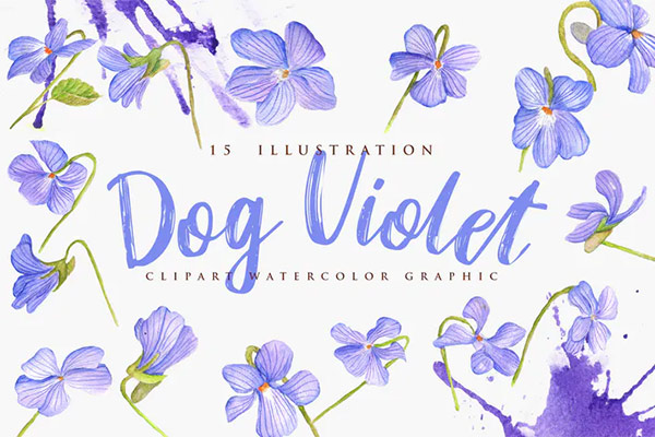 15 Watercolor Dog Violet Flower Illustration