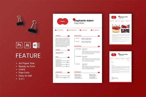 Professional CV And Resume Template Stephanie