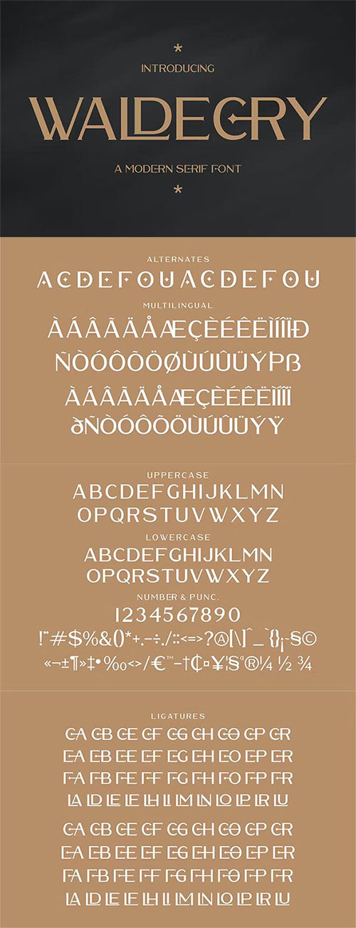 Waldecry A Modern Serif Font NJDV8SA