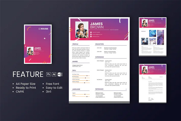 Professional CV And Resume Template James