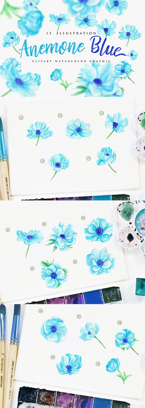 15 Watercolor Anemone Blue Flower Illustration